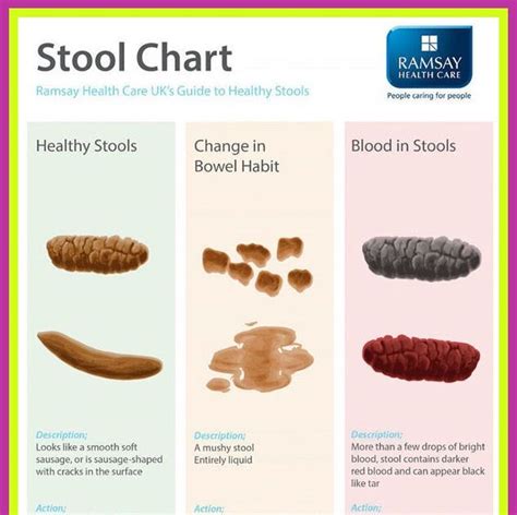 What Does Blood In Your Stool Look Like Pictures What Does