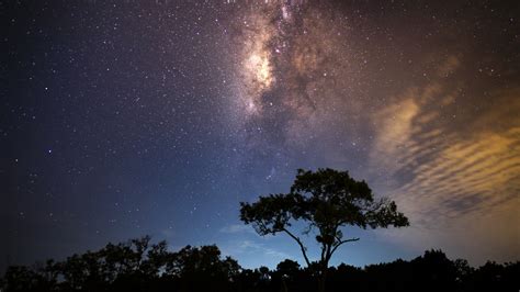 Download Wallpaper 2560x1440 Starry Night Milky Way Tress Night Sky