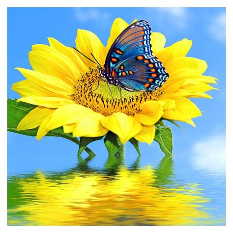 Sunflower Butterfly Diamond Painting Kit At