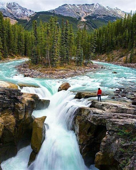 Parque Nacional De Jasper Alberta Canadá Scenic Waterfall Canada