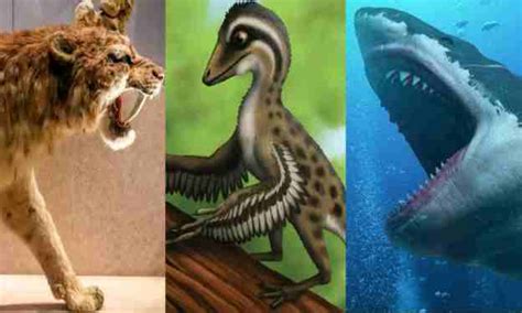 Top 10 Prehistory Animals That Are Now Exist Nupebaze