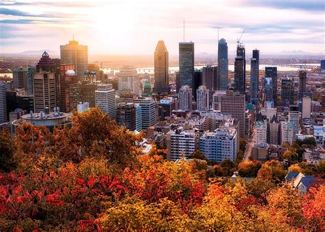 10 Of The Best Things To Do When Visiting Montreal, Canada - WorldAtlas