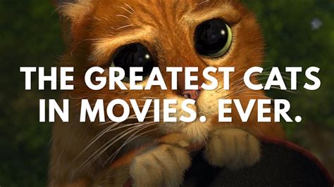 The Greatest Cats In Movies Ever Best Cat Scenes Supercut Youtube