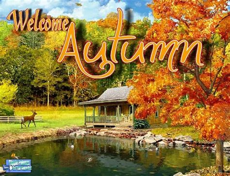 Welcome Autumn If Only It Could Last Longer Fall Wallpaper Nature