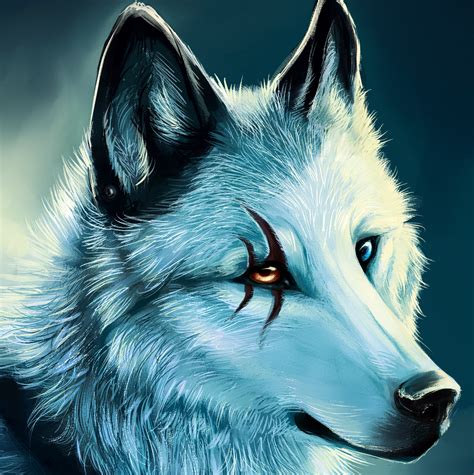 Hd Wolf With Deep Scar And Two Colored Eyes Anime Wolf Pet Anime