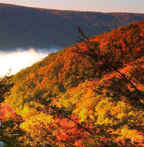 Fall Leaf Peepers Heres Whats Peaking In The Mountains Right Now