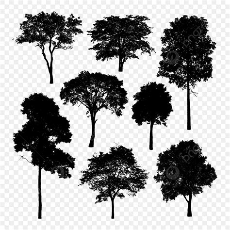Conjunto De árvores Silhueta Isolado Na Transparente Png Silhueta