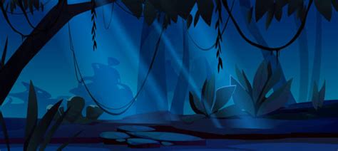 120 Cartoon Of A Deep Dark Forest Illustrations Royalty Free Vector