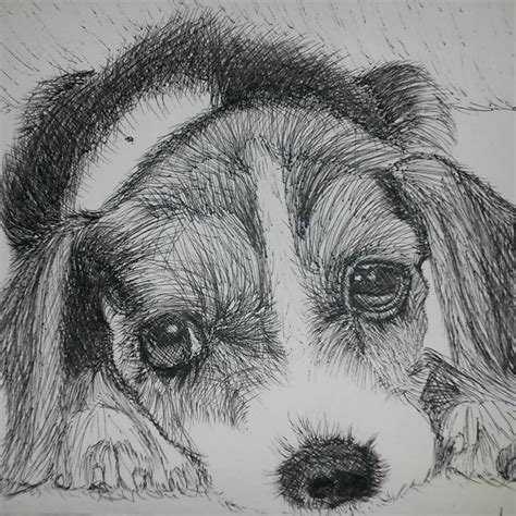 Pen and ink cross hatching masters edition. hatching and cross hatching drawing of a pup pup!! - - # ...