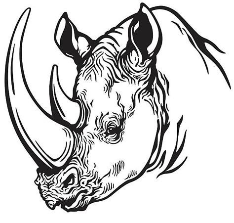 Black And White Rhino Illustrations Royalty Free Vector Graphics