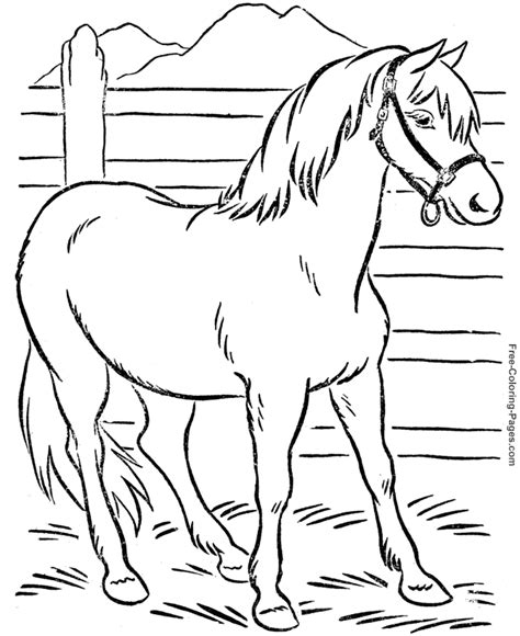 Coloring Book Pages Of Horses 011