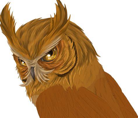 Busbyart Owl Drawing