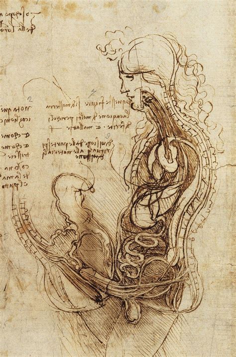 Disegni Di Leonardo Da Vinci Arte Opere Artisti