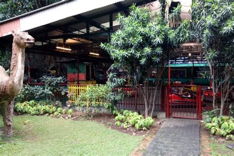 Pertama, kota ini terletak tidak begitu jauh dari jakarta. Wisata Alam Baru Di Bogor 2019