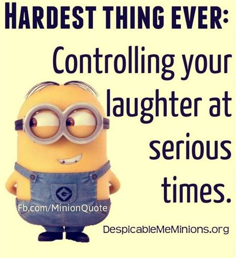 Click to view the funny pictures, memes, texts, tweets,trending stories and write a comment. Top 30 Minions Humor Quotes - Quotes and Humor