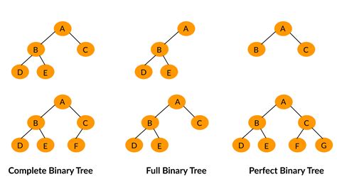 Binary Tree Data Structure Introduction And Types Of Binary Trees