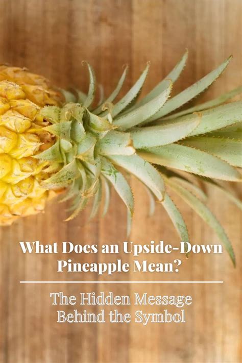 What Does An Upside Down Pineapple Mean The Hidden Message Behind The Symbol In 2022