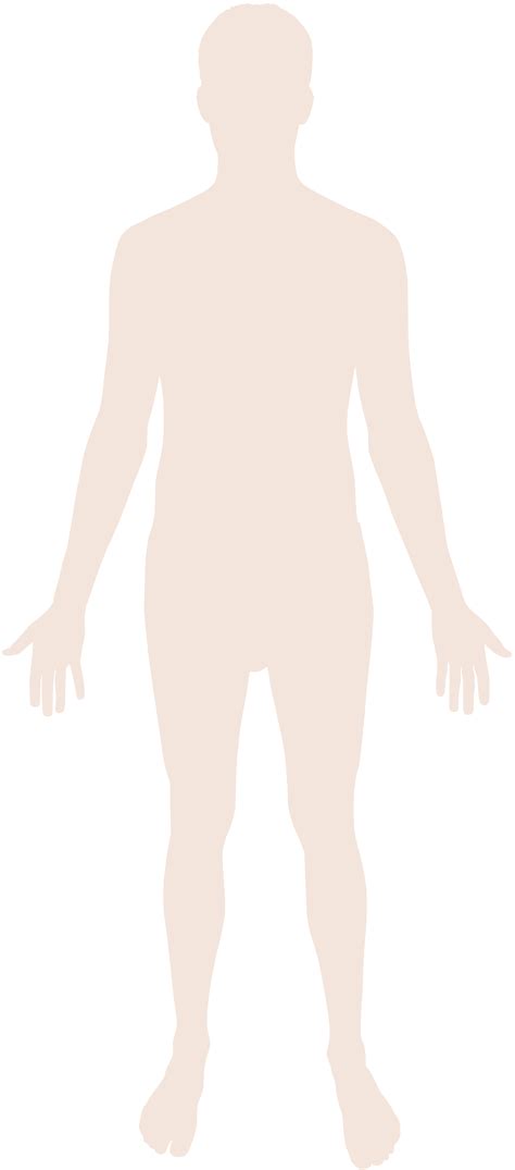 Human Body Homo Sapiens Hand Scalable Vector Graphics Human Body