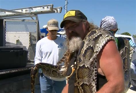 Watch Florida Man Wrestles Giant Snakes For The Environment Profit
