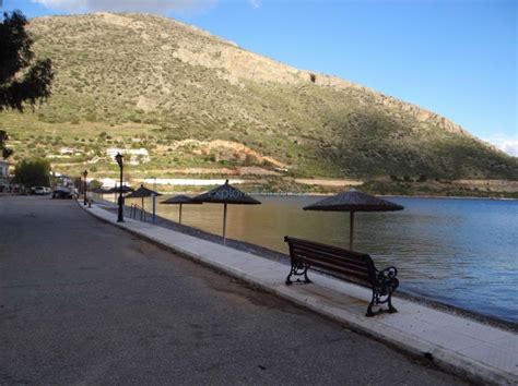 Απόσπασμα από την ακολουθία της κουράς μοναζουσών στην ιερά μονή παναγίας παντάνασσας στη φωκίδα. EG | Παραλία Αγίων Πάντων (Μικρός Οικισμός) ΦΩΚΙΔΑ, ΔΕΛΦΟΙ