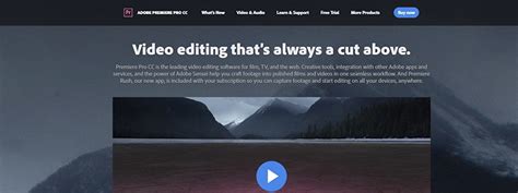Davinci resolve vs premiere pro: 7 Best Video Editing Software for Youtube in 2020 - Free ...