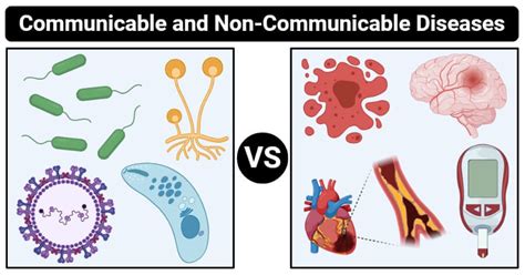 Communicable Vs Non Communicable Diseases Definition 17 Differences
