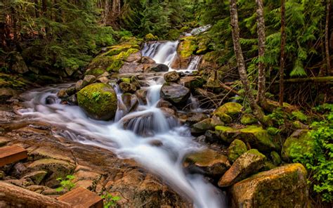 Descargar Fondos De Pantalla Montaña Río Cascada Bosque Montañas