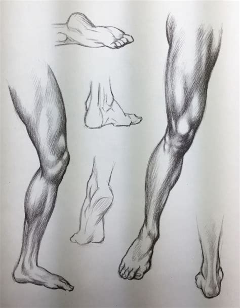 Pencildrawings Human Anatomy Art Anatomy Sketches Anatomy Art