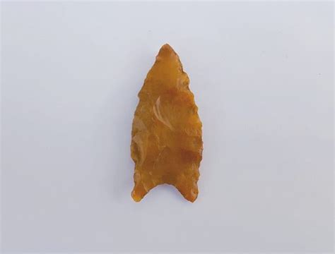 Fl Dalton Type Arrowhead Fossils And Artifacts For Sale Paleo