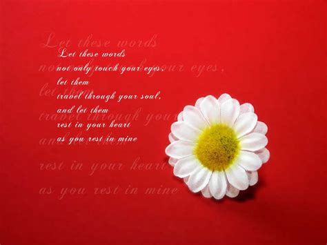 We did not find results for: Love Quote Desktop Backgrounds - Wallpaper, High ...