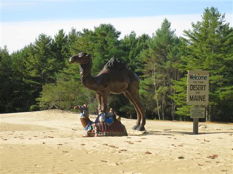 Eccentric Roadside Just Deserts The Desert Of Maine Yes Maine