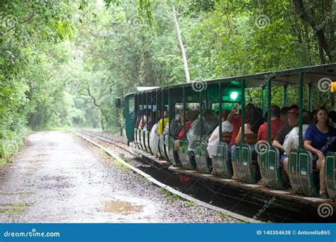Rainforest Train At The Iguazu Falls In The Argentine Side Editorial