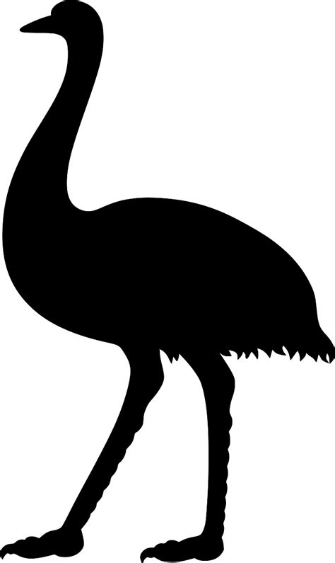Download SVG > bird flightless neck stare - Free SVG Image & Icon. | SVG Silh