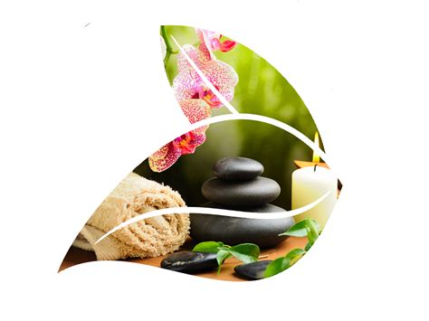Collection Of Png Spa Pluspng