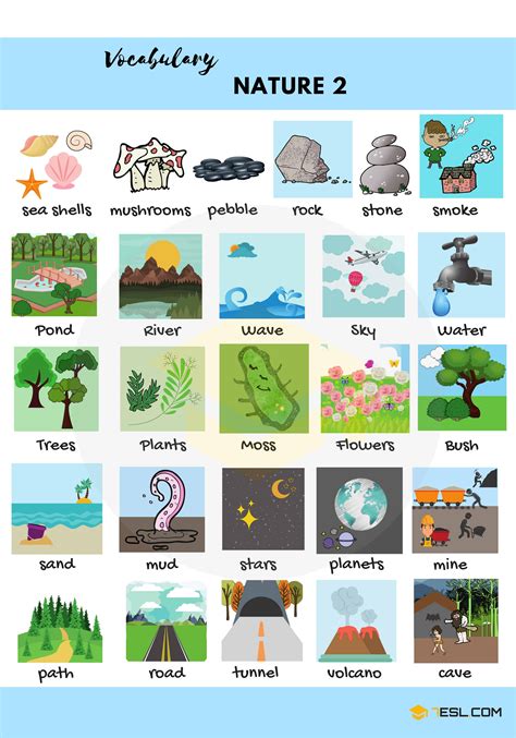 Nature Vocabulary In English The Natural World 7 E S L