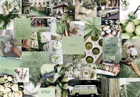 Let's be honest, the answer is no! Sage Wall Collage Kit, Aesthetic, Trendy, Sage, Room Decor ...