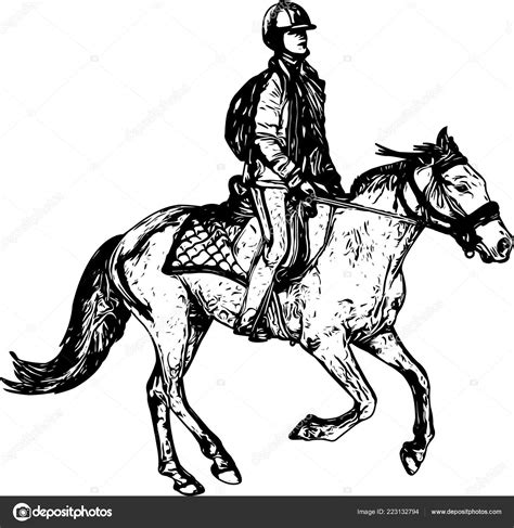 Horse Riding Sketch Drawing Stock Vector Image By ©bokica 223132794