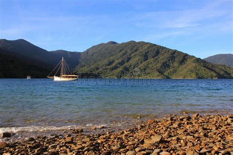 Summer Scene In The Queen Charlotte Sound New Zealand Stock Image