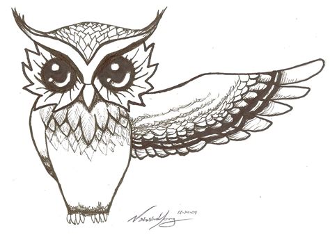 Realistic Owl Wings Drawing Pic Review