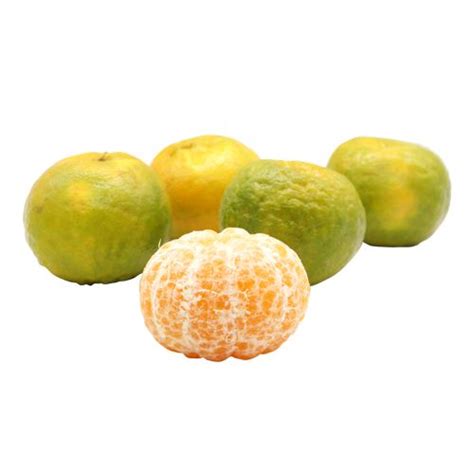 Buy Fresho Orange Nagpur 1 Kg Online At Best Price Of Rs 12961