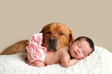 Cutest Dog And Baby Photos Ever