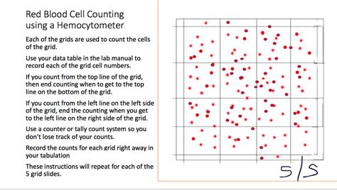 Solved Red Blood Cell Counting Using A Hemocytometer Each Of Chegg Com