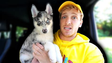 Whats Jake Pauls Dogs Name