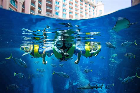 Atlantis Dubai Aquarium Luxedb