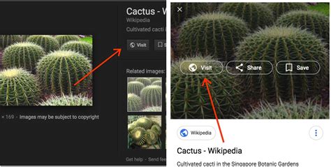 Keine chance an das bildmaterial zu kommen, leider. Große Änderung in der Google Bildersuche: Bilder lassen ...