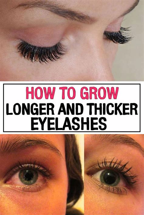 View How To Grow Eyelashes Png