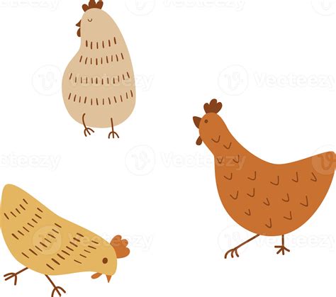 cute chicken cartoon cute chickens set funny hens and roosters walking standing isolated