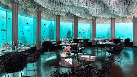 Niyama Private Islands Maldives Hotel Review Condé Nast Traveler