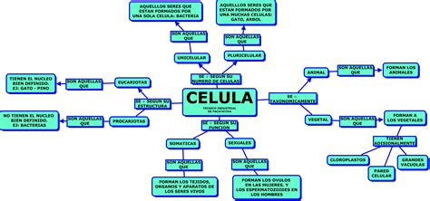 Clases De Celulas