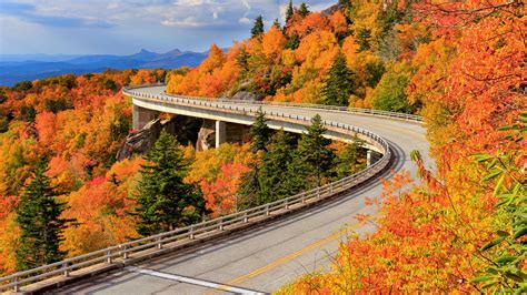 Beautiful scenes along the Blue Ridge Parkway | Fall road trip, Fall